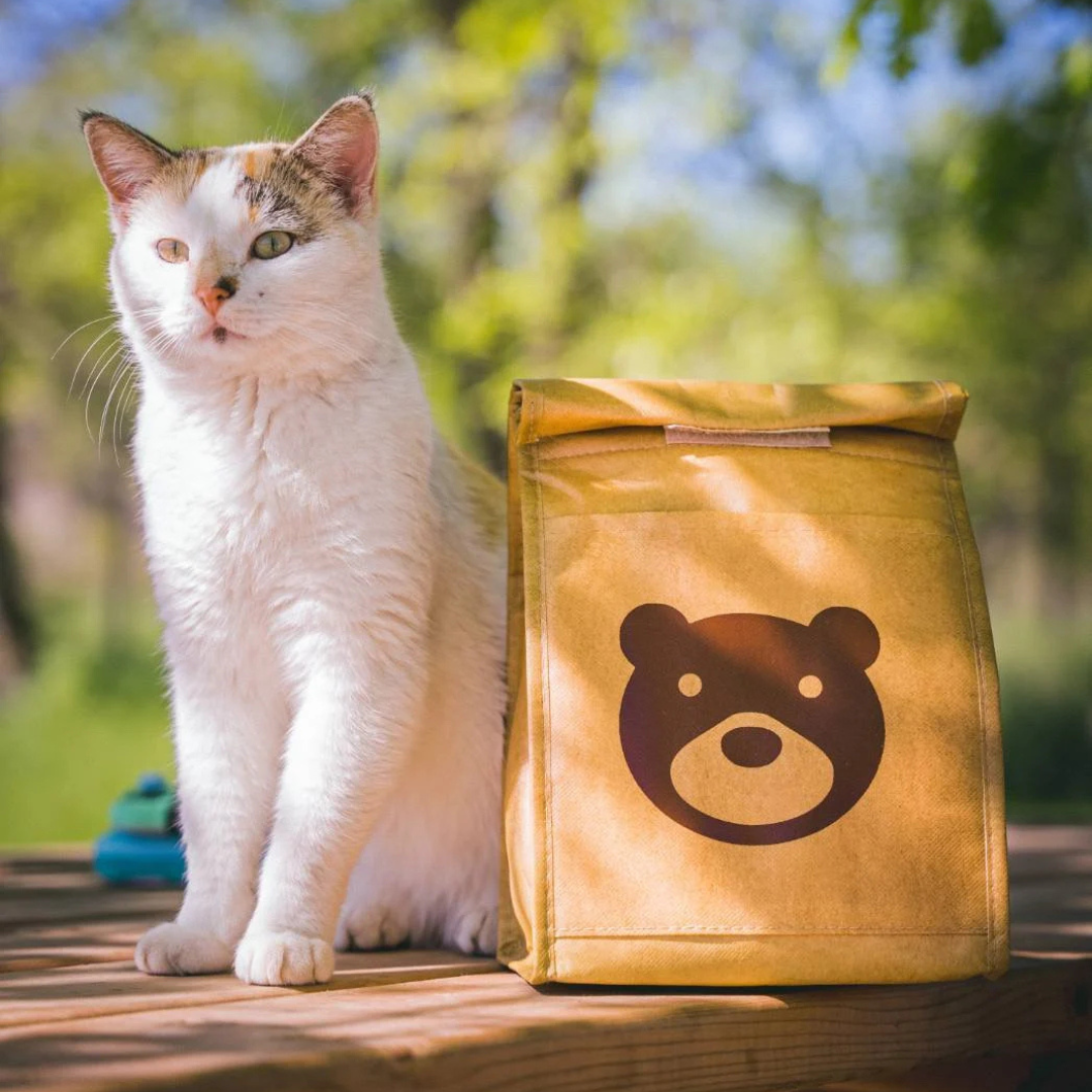 AC Bear | Insulated Lunch Bag